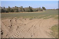 Field near Llangynog