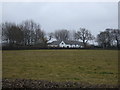 Grazing, Middlesteads Farm