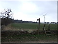 Footpath towards Lynemouth