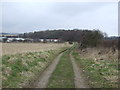 Bridleway heading east towards the A1068