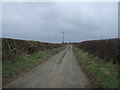 Bridleway heading east 