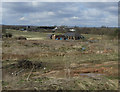 Wetland near Kingsbury