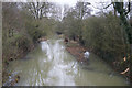 River Cherwell - Banbury