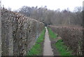 Footpath to Haysden Country Park