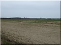 Farmland near Broomhill