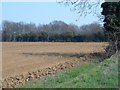 TL8768 : Field ready for potatoes near Timworth Heath by Bikeboy