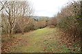 Footpath through Penstave Copse