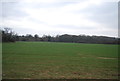 TQ5646 : Field north of the Friendship Bridge by N Chadwick