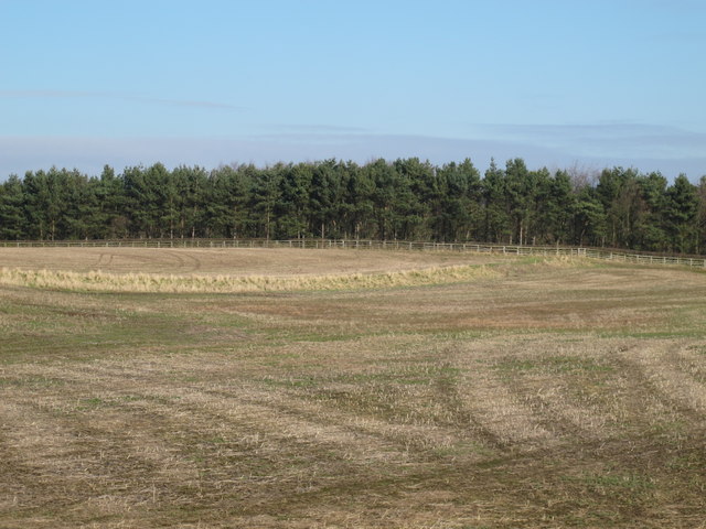 Farmland southeast of Styford Wood (2)