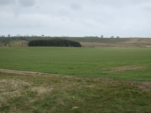 Farmland near Hawkhill