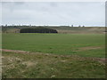 NU2212 : Farmland near Hawkhill by JThomas
