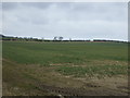 NU2213 : Farmland near Hawkhill by JThomas