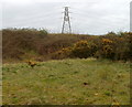 Pylon on high ground, Pentwyn, Abersychan