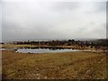 Birtley Brickworks Pond