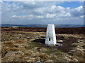 SE1145 : Rombalds Moor trig point 402m/1,306' by John H Darch