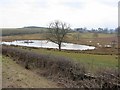 Tilekiln Ponds near Lookingflatt Farm