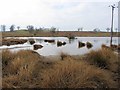 Tilekiln Ponds near Lookingflatt Farm