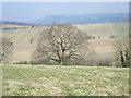 The top of Wildon Hill