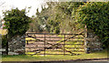 Field gate, Saintfield