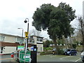 Approaching  St Thomas Street from the car park