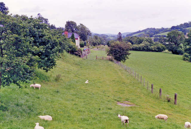 Site of Derwen station, 1993