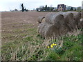 TF3028 : Old straw bales near Crown Farm by Richard Humphrey