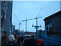 View of a plethora of cranes on the South Bank from Tower Bridge