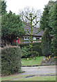 Monkey Puzzle Tree, Sedlescombe Road North, St Leonards