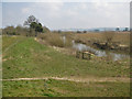 Paths by the River Derwent