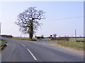 TG0705 : B1108 Norwich Road, Kimberley by Geographer