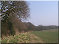 Well used informal path along High Bramley Wood