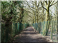 Footpath towards Cavendish Road