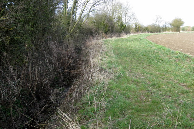 Hedge and ditch by the field edge
