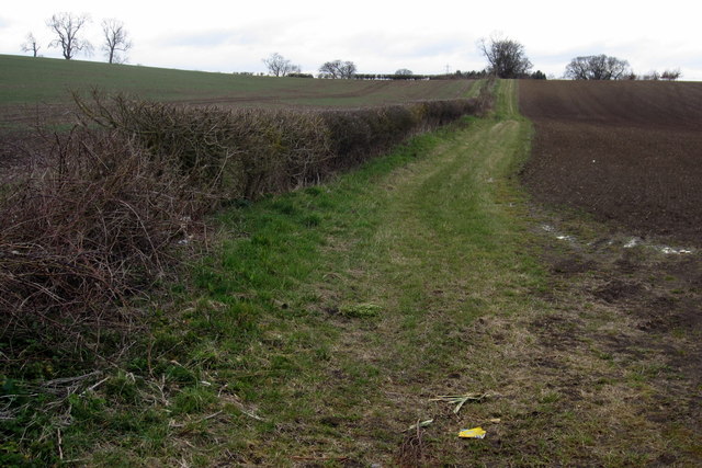 Hedge between fields