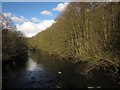 River Nidd