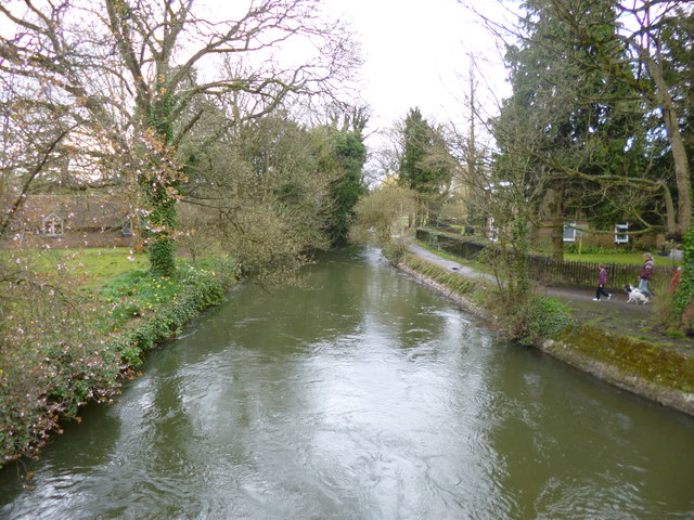 Salisbury, River Avon © Mike Faherty :: Geograph Britain and Ireland