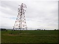 Netherhampton, power lines