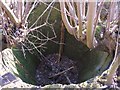 The pot of Frankham lime kiln (2)