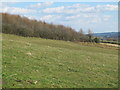 Farmland and woodland west of Frankham