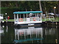 Harleyford ferry