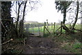 Footpath to Rocklane Farm