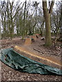 Playground in the woods