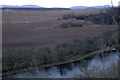 River Tay south of Stanley