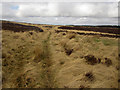 Bridleway west across Doddington North Moor