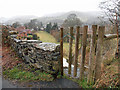 Gate and footpath on Fron Bache