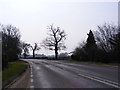 TG2504 : B1332 Bungay Road, Arminghall by Geographer