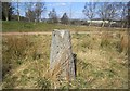 Triangulation pillar, Cowglen Golf Club