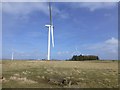 NZ0894 : Wingates Wind Farm by Russel Wills