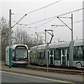 Trams crossing at Wilkinson Street