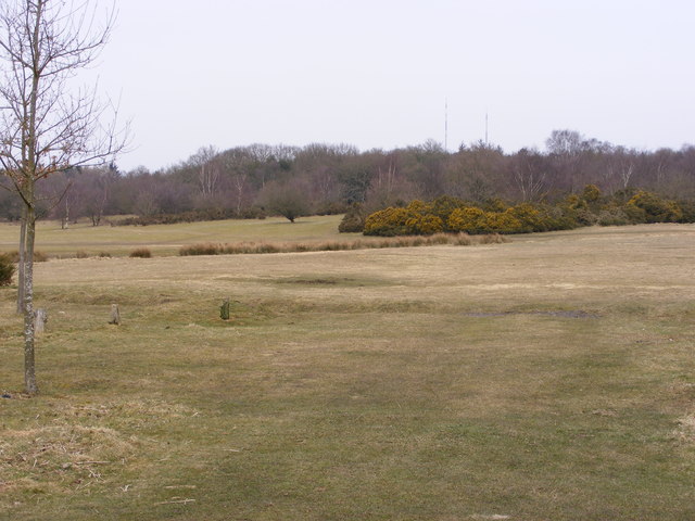 Sutton View